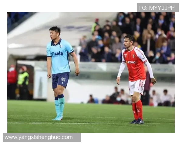 足球明星代言药品品牌的市场影响力与消费者信任度分析