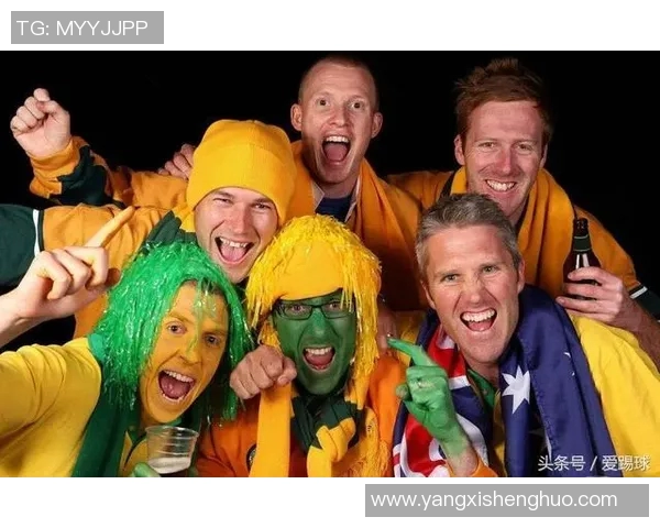 突尼斯与马里足球队球员身价对比分析及市场价值探讨